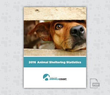 2016 Animal Sheltering Statistics