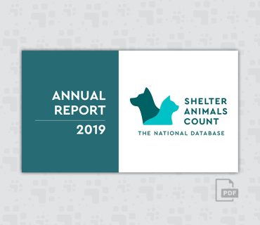 2019 Annual Report