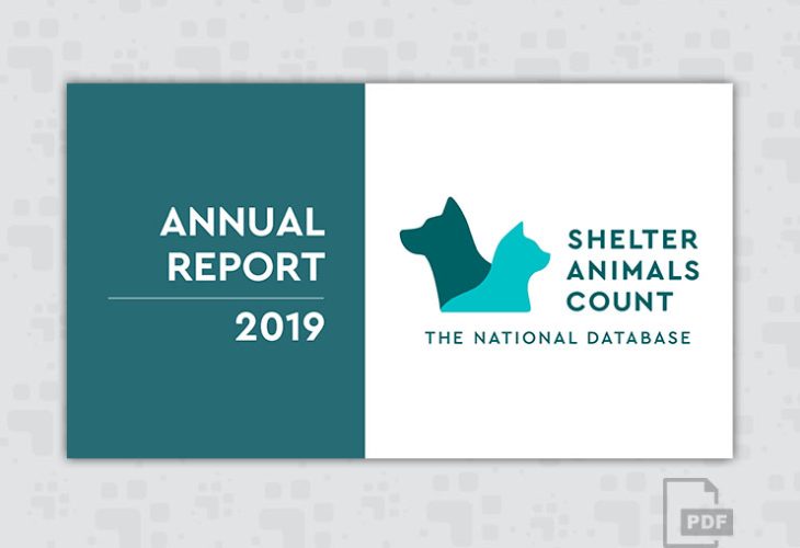 2019 Annual Report