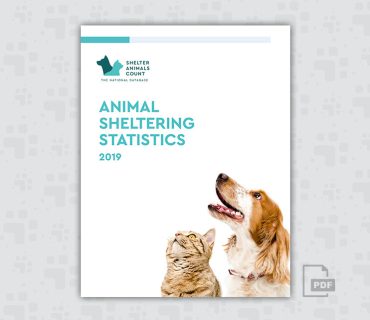 2019 Animal Sheltering Statistics