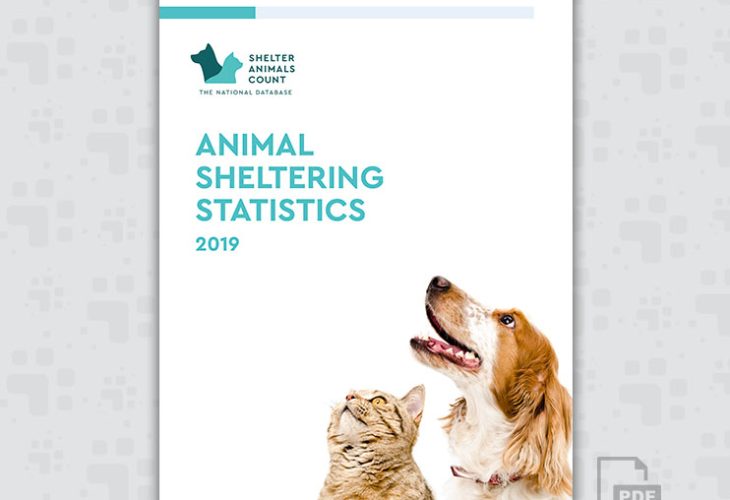 2019 Animal Sheltering Statistics