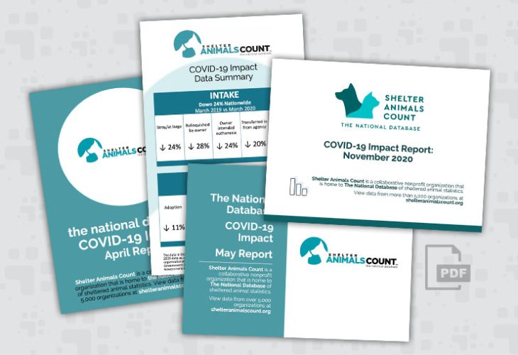 2020 COVID-19 Monthly Reports