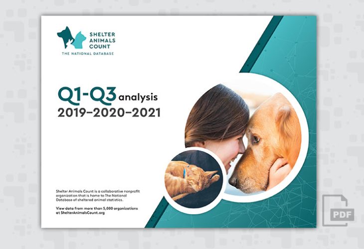 Q1-Q3 2019-2021 Analysis