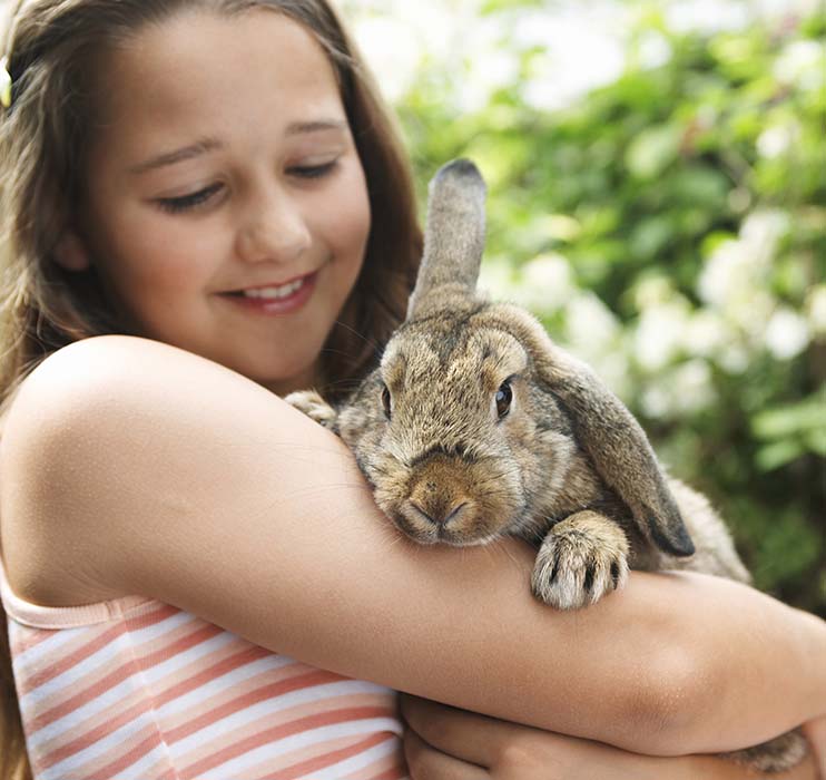 Girl and Bunny