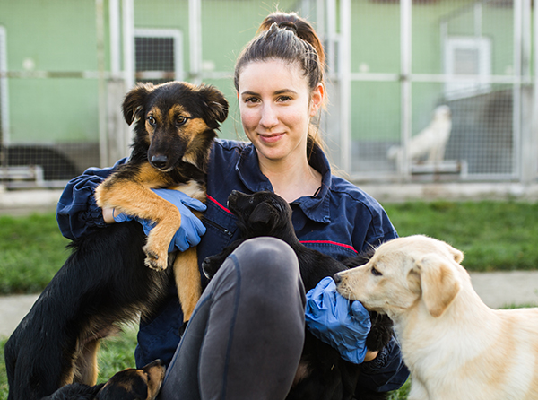 Woman with dogs