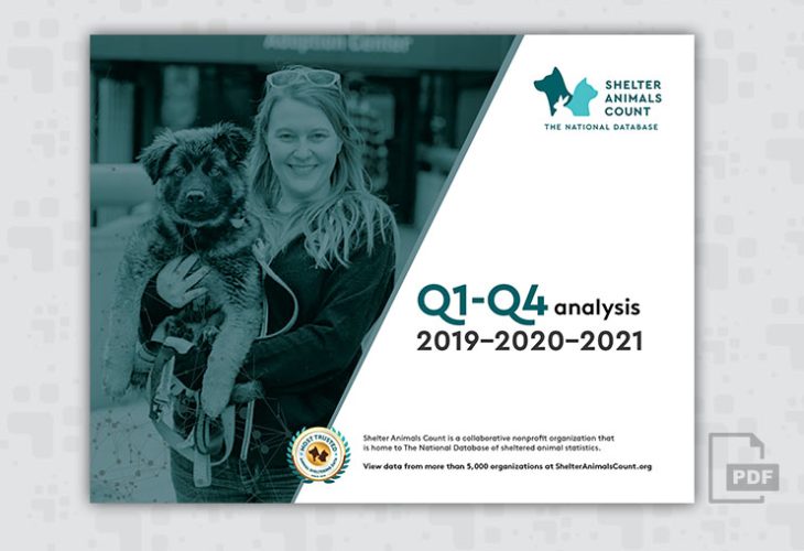 3-year Analysis