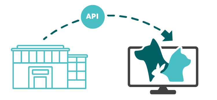 API Graphic