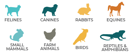 Species
