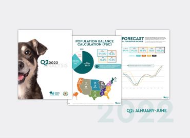 2022 SAC Q2 Report