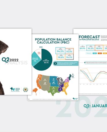 2022 SAC Q2 Report
