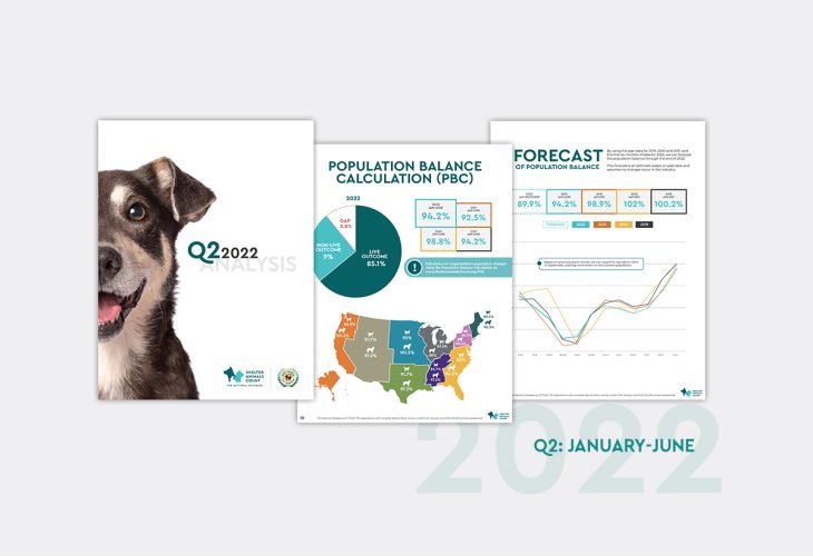 2022 SAC Q2 Report