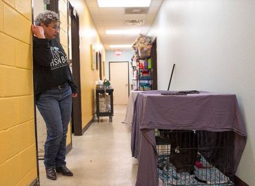 News, Humane Society of New Braunfels