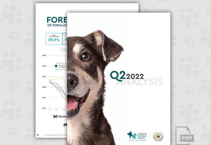 Q2 2022 Report, SAC