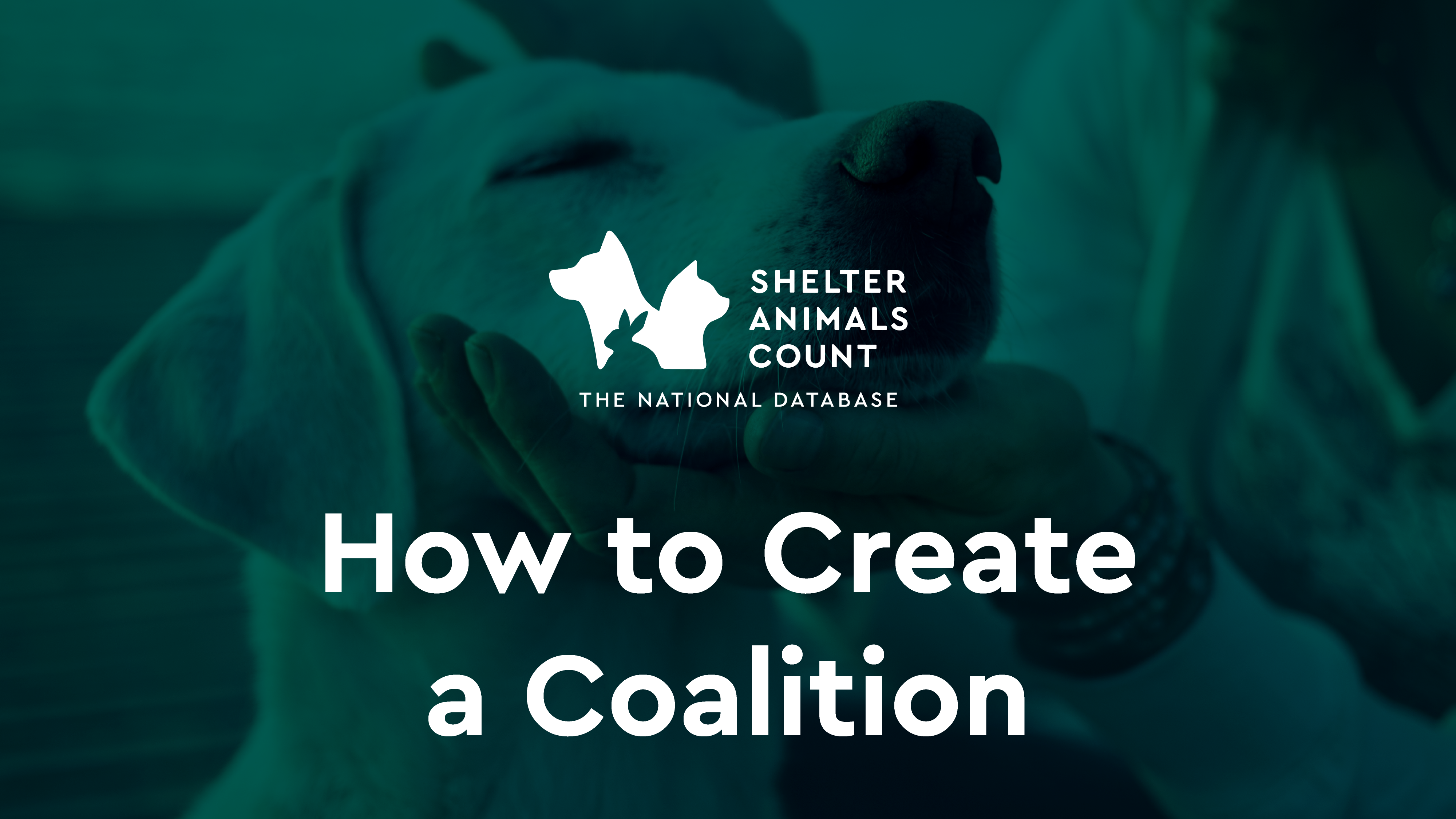 How to Create a Coalition