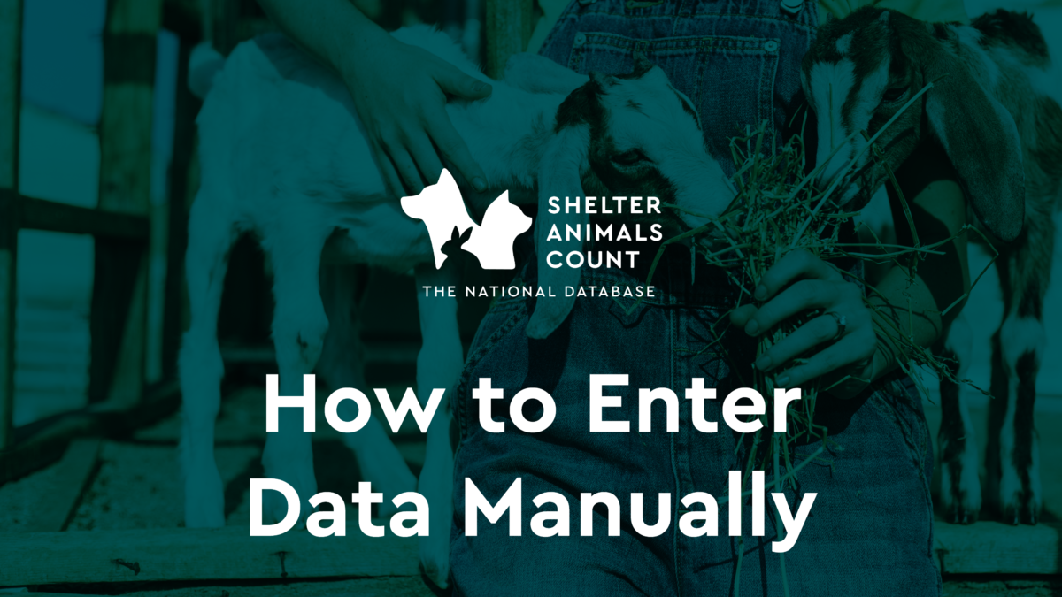How to Enter Data Manually