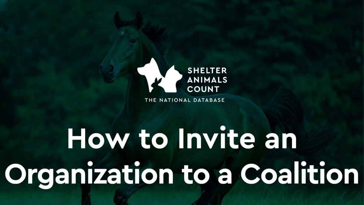 How to Invite an Organization to a Coalition
