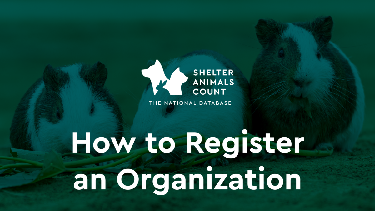 How to Register an Organization