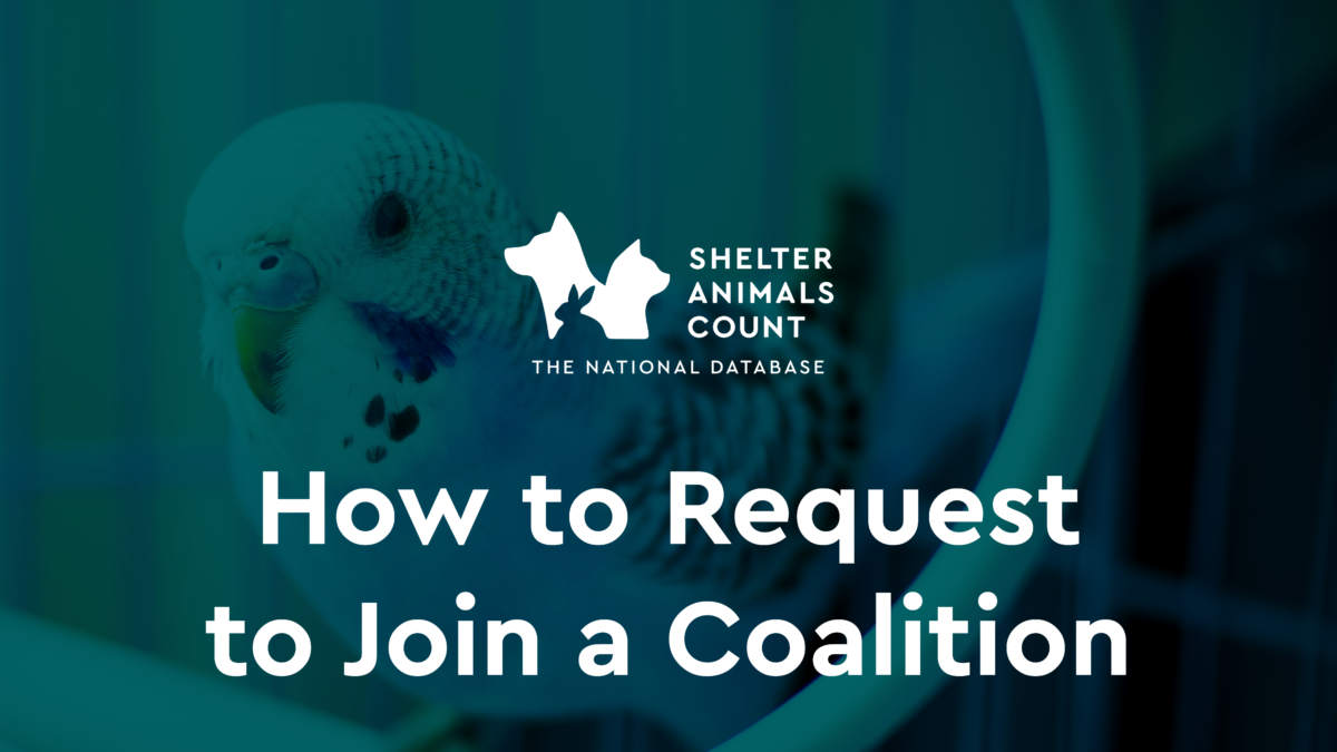 How to Request to Join a Coalition