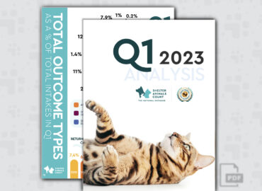 Q1 Data Report