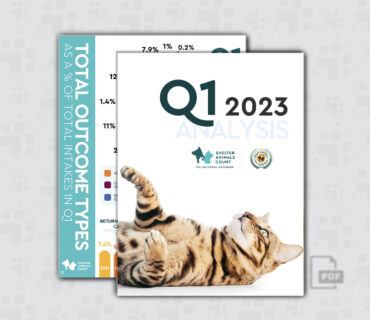 Q1 Data Report