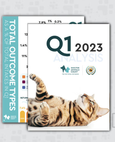 Q1 Data Report