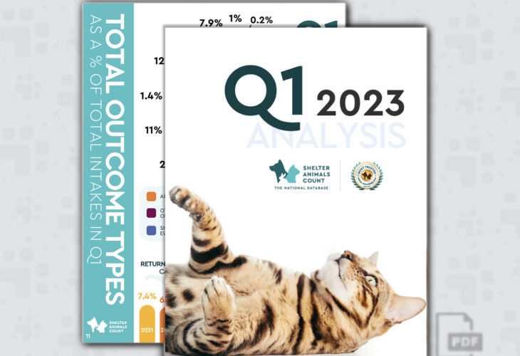 Q1 Data Report