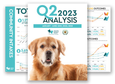 Q2 data report