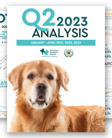 Q2 data report