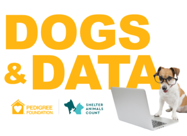 Dogs and Data Webinar Series