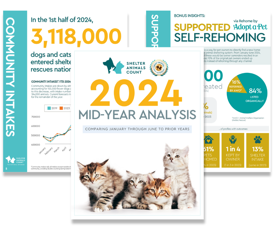 2024 Mid-Year Analysis