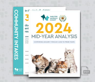 2024 Mid-Year Report