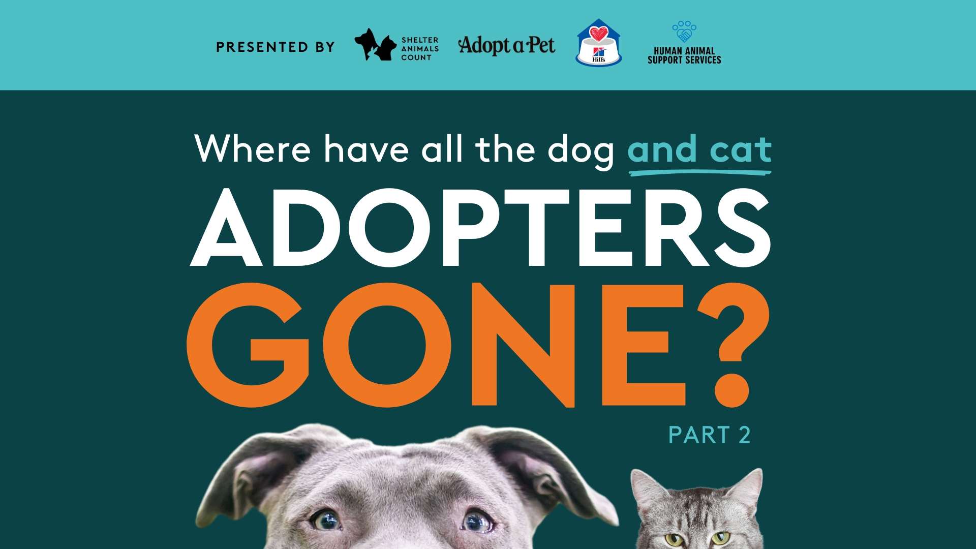 Where Have All the Dog and Cat Adopters Gone? Shelter Animals Count Webinar Part 2
