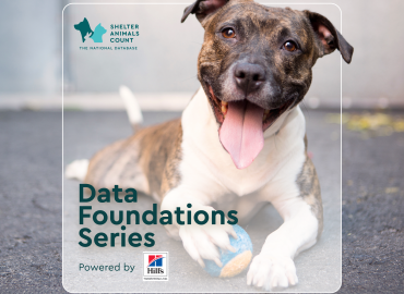 data foundations series, shelter animals count, hill's pet nutrition,