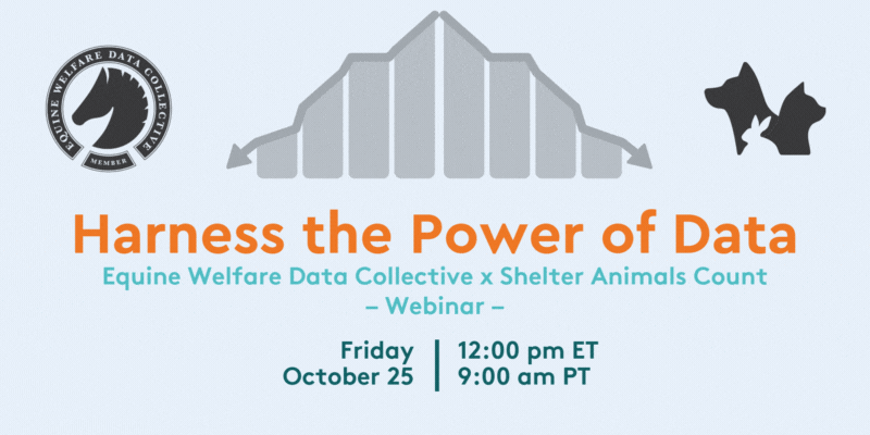webinar, shelter animals count, equine collective