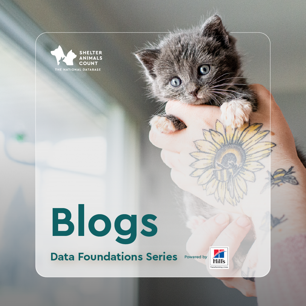 data foundation series, hill's, pets, blogs