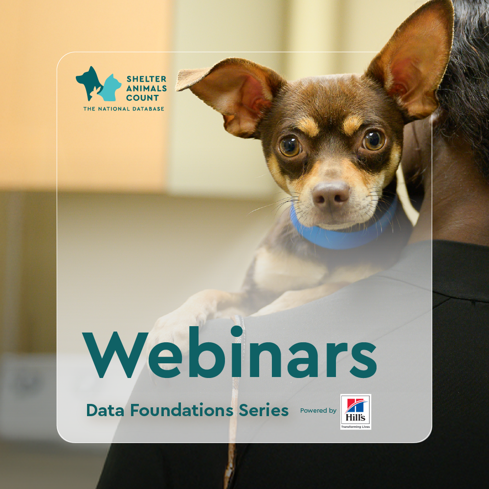 data foundation series, hill's, pets, webinars
