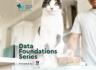 data foundations series, shelter animals count, hill's pet nutrition