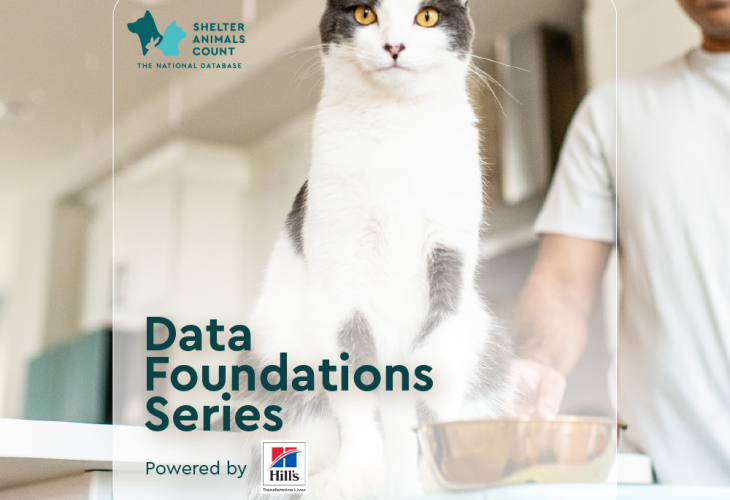 data foundations series, shelter animals count, hill's pet nutrition