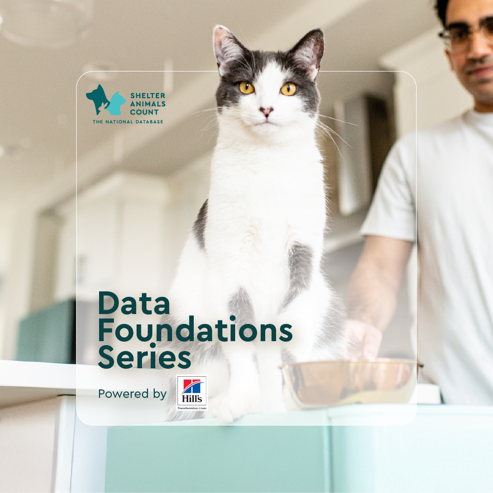 data foundations series, shelter animals count, hill's pet nutrition