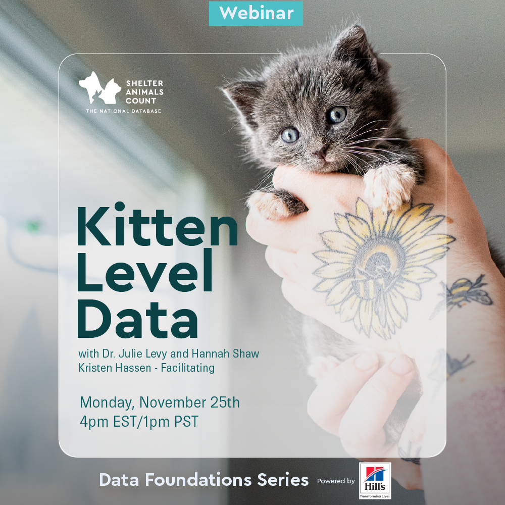 data foundations series, shelter animals count, hill's pet nutrition, kitten level data, hannah shaw, dr. julie levy