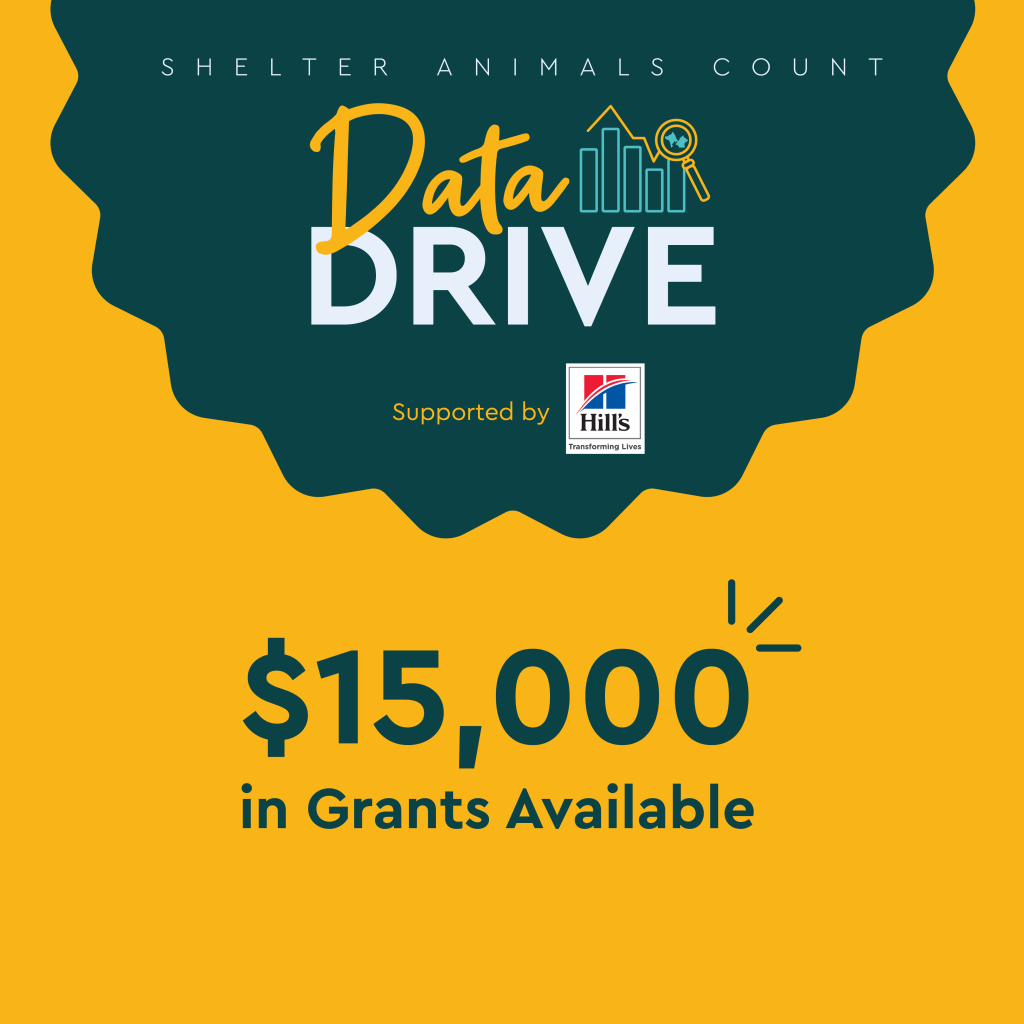 data drive, shelter animals count, hill's pet nutrition
