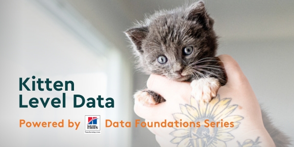 Photo of a kitten being held by an adopter Shelter Animals Count