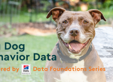 Large brown dog promotion big dog data webinar with Shelter Animals Count and Hill's Pet Nutrition.