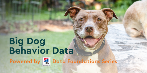Large brown dog promotion big dog data webinar with Shelter Animals Count and Hill's Pet Nutrition.
