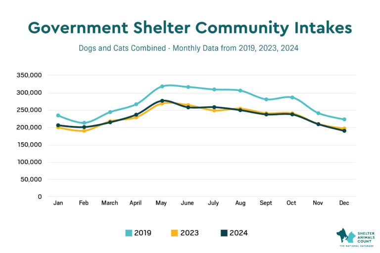 government shelter intakes, shelter animals count