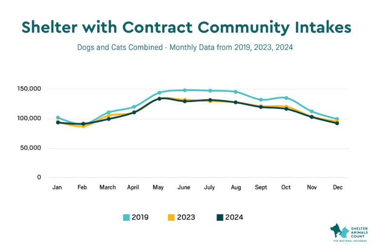 shelter intakes, shelter animals count