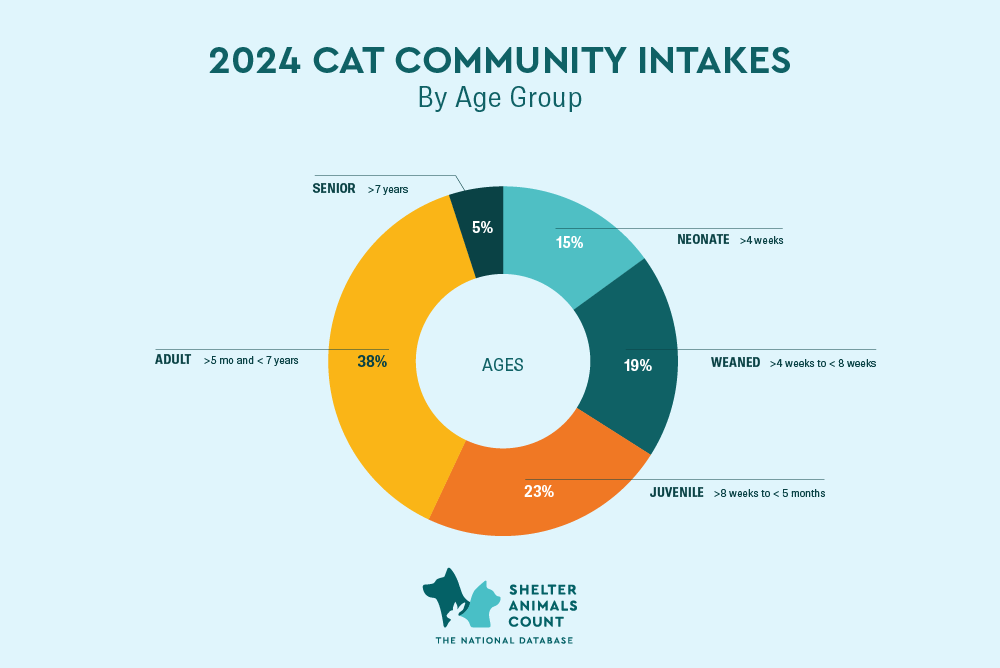 cat community intakes by age group