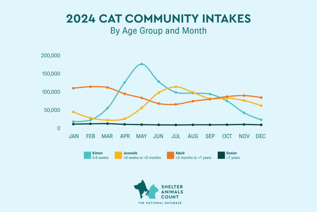 2024 Cat Community Intakes, shelter animals count