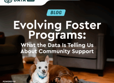 Evolving foster programs, shelter animals count, hill's pet nutrition