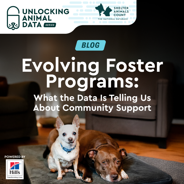 Evolving foster programs, shelter animals count, hill's pet nutrition